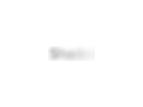 Animated Text 06 - Reveal Text